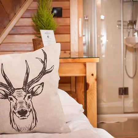 Goscinne Benita Ubytování v soukromí Zakopane