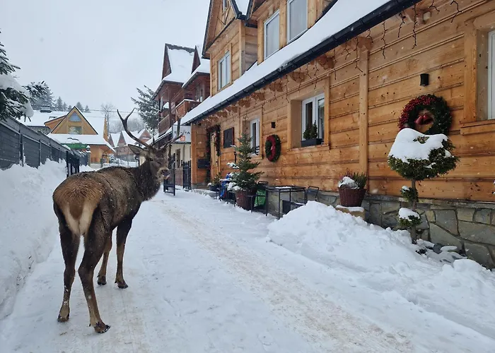 Habitación en casa particular Goscinne Benita